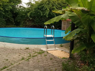 Bild 12 aus  Angelhof Weseloh