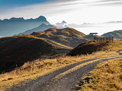 Bild 34 aus  Ferienwohnungen Perfeldhof