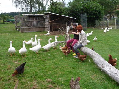 Bild 28 aus  Ferienhof Wolschendorf