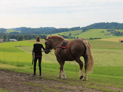 Bild 20 aus  Ferienhof Hitzelberger