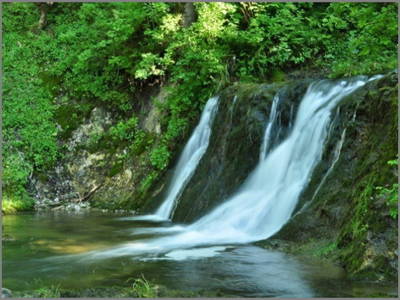 Bild 22 aus  Wendlarhof