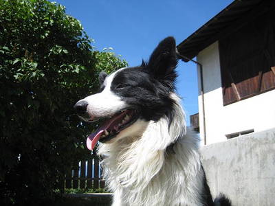 Bild 23 aus  Steinerhof