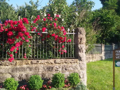 Bild 4 aus  Ferienhof Ott im Romantischen Franken bei Rothenburg o.d.T.