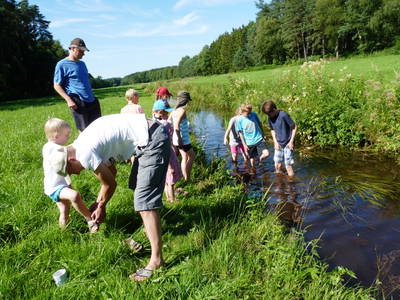 Bild 44 aus  Leverenzhof