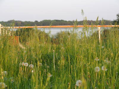 Bild 45 aus  Gestüt Hof am See