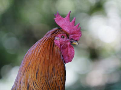 Bild 23 aus  Landhaus Rombach