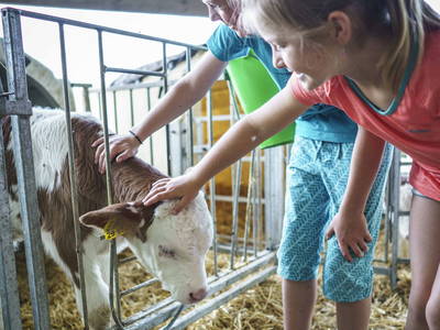 Bild 15 aus  Hof Gottenau