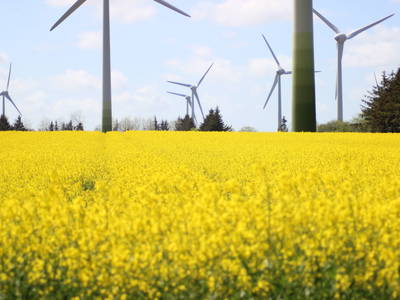 Bild 22 aus  Ferienhof Nordseeblick ****