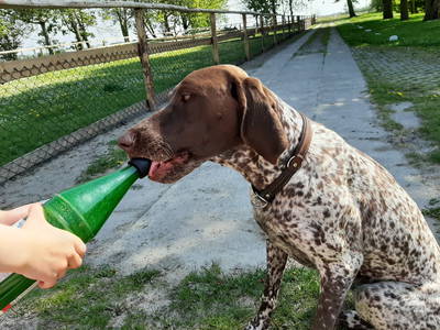 Bild 29 aus  Ferienhof Claußen