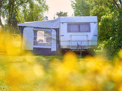 Bild 10 aus  Ferienhof Heidemann