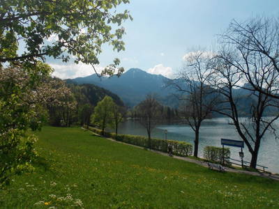 Bild 29 aus  Aparthotel Alpenpark