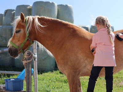 Bild 25 aus  Fuchsbauernhof