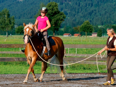 Bild 20 aus  Augustinerhof