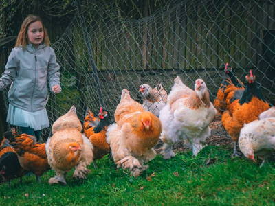 Bild 17 aus  Waldbachhof