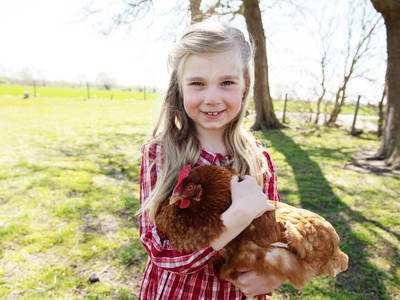 Bild 17 aus  Bauernhof Höper-Rauert