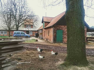 Bild 24 aus  Bauernhof Laave