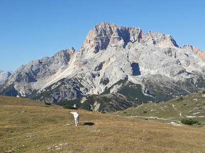 Bild 20 aus  Lechnerhof