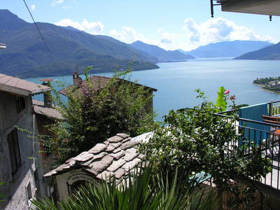 Bild 19 aus  Casarina