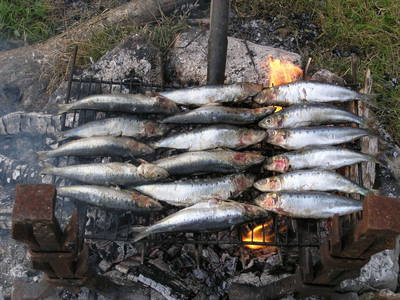 Bild 19 aus  Ferien in der Bretagne am Meer