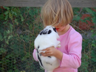 Bild 9 aus  Piratenhof Störtenbecker