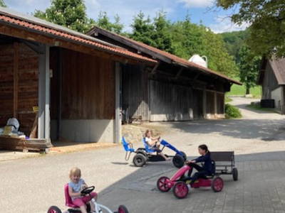 Bild 16 aus  Ferienwohnungen "Zum Baur" - Walser