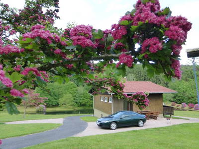 Bild 19 aus  Siefertshof