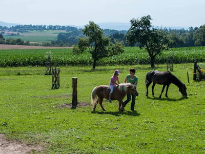 Bild 28 aus  Ferienhof Siber