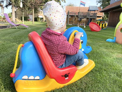 Bild 16 aus  Ferienhof Wübbold