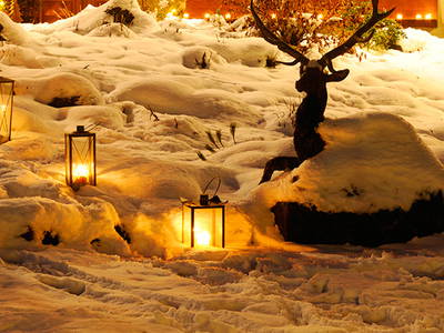 Bild 6 aus  Ignazhof