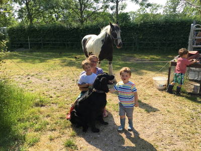 Bild 11 aus  Inselurlaub Fehmarn