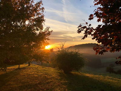 Bild 41 aus  Der Ofenmacherhof  Urlaub am Bauernhof