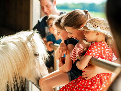 Bild 21 aus  LandSelection Grieshof