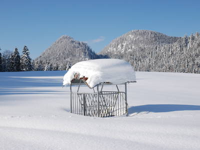 Bild 59 aus  Masererhof - Ferienbauernhof im Chiemgau