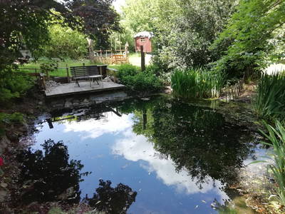 Bild 13 aus  KlangHoff