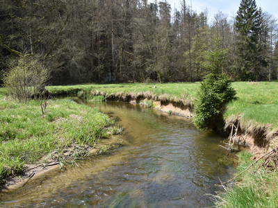 Bild 9 aus  Blogstube in Hinterhermsdorf