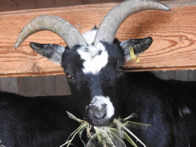 Bild 26 aus  Hof am KrämersBug