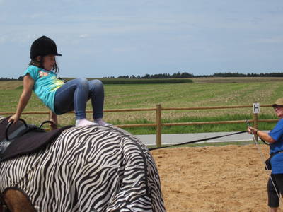 Bild 23 aus  Freizeit- und Ferienreiterhof Odenwald