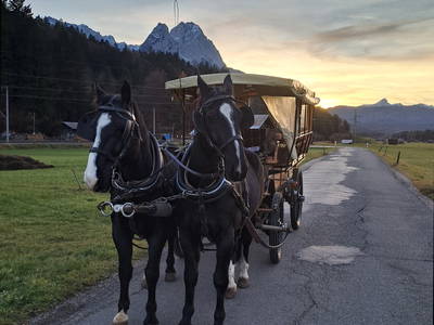 Bild 6 aus  Bichlerhof