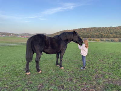 Bild 22 aus  Steigerwälder Zwergenhof ihr kleiner Kinder-Bauernhof für Familien- und Gruppenurlaube