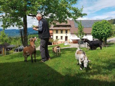 Bild 19 aus  Maierhof