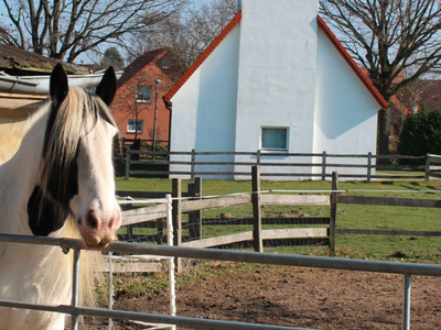 Bild 11 aus  Meyerhof