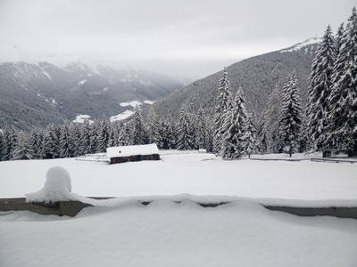 Bild 11 aus  Biobergbauernhof Garmesegg