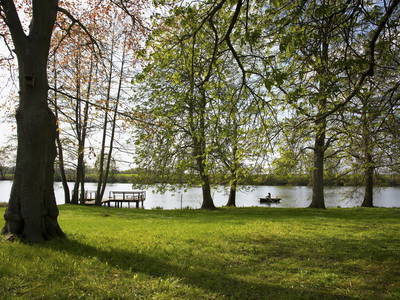 Frühlingserwachen am Langensee