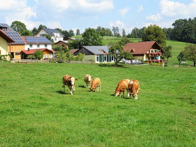 Bild 29 aus  Ferienhof Lochau