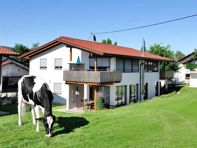 Bild 2 aus  Stüblehof - Familie Mock