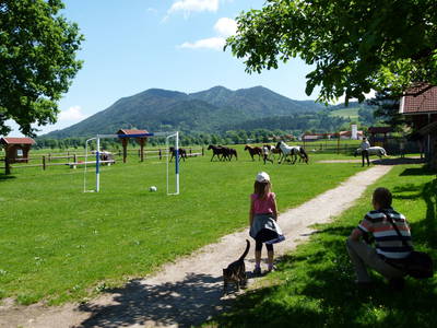 Bild 6 aus  Abrahamhof