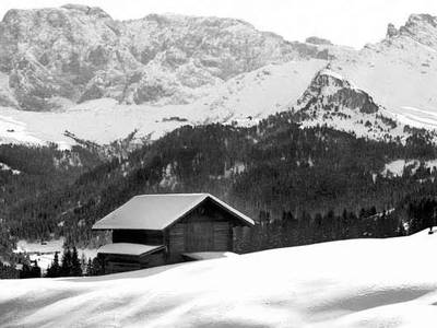 Bild 22 aus  Platzerhof