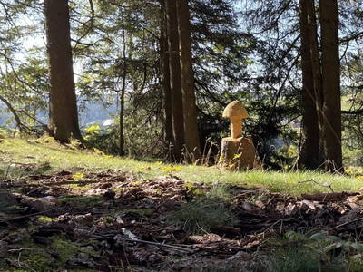 Bild 23 aus  Ferienwohnung Rüttwaldhof