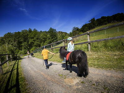 Bild 68 aus  Ferienhof Pulte