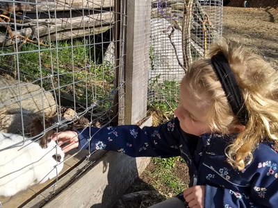 Bild 29 aus  Weberhof - Biobauernhof